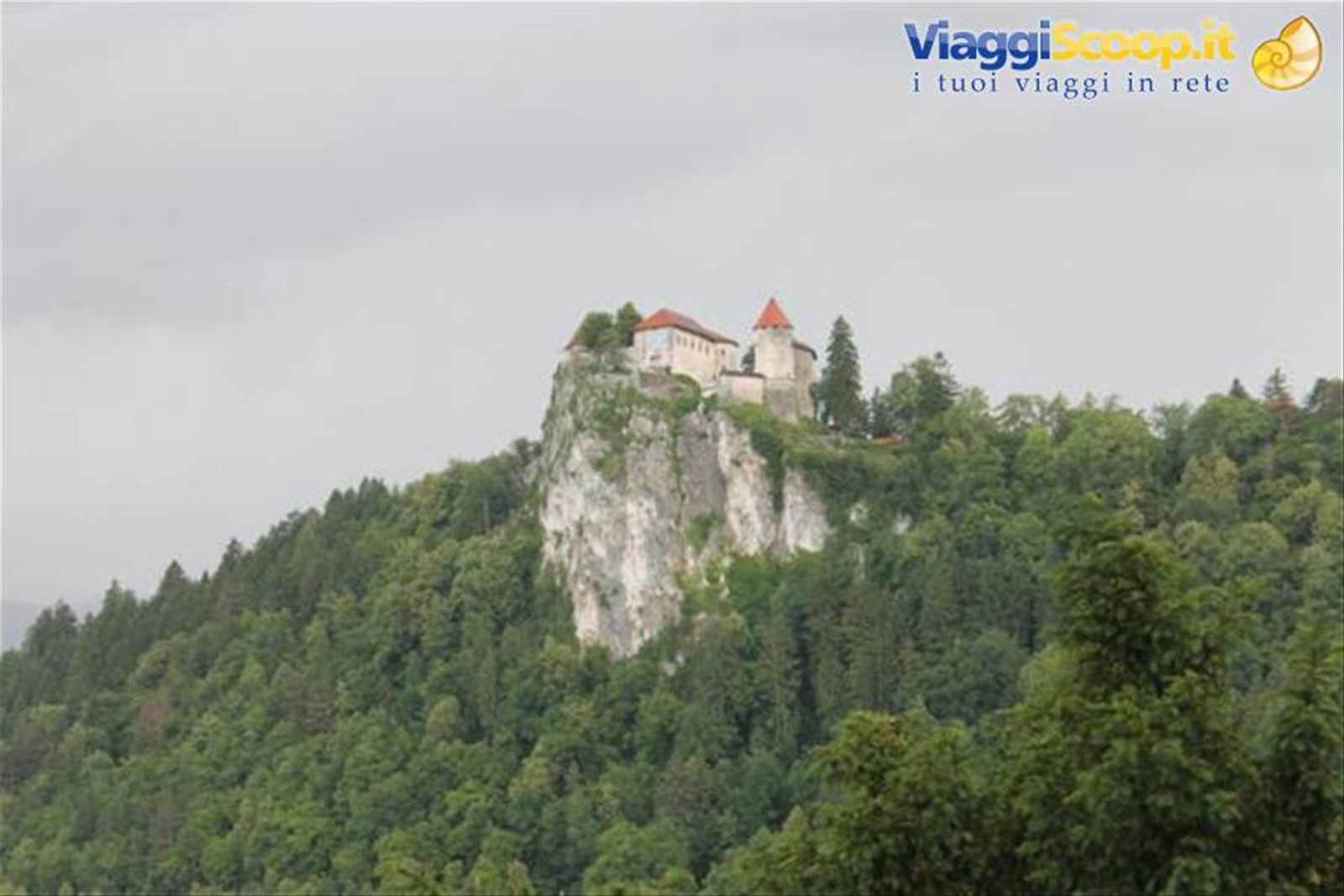 bled