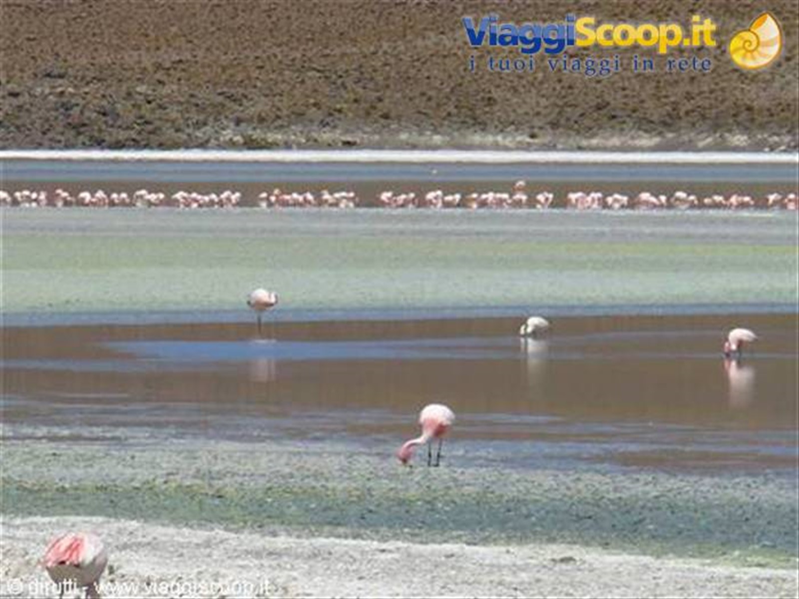 Laguna Hedionda