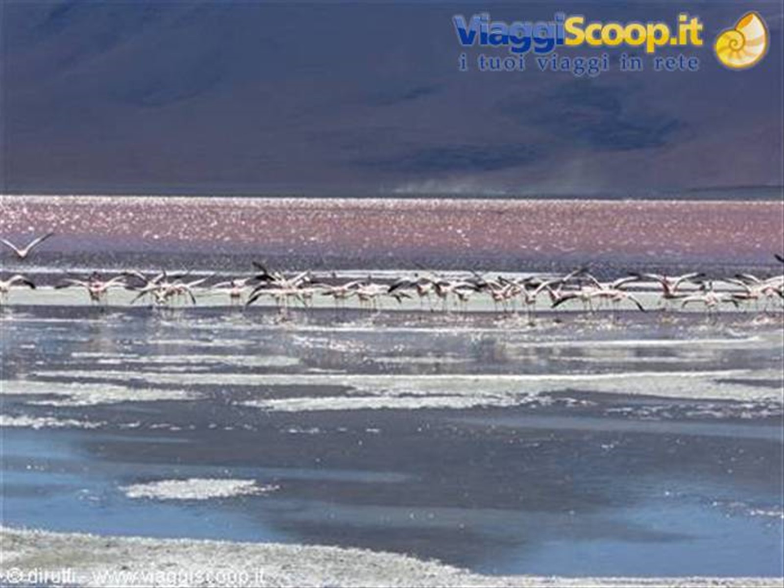 Laguna Colorada.