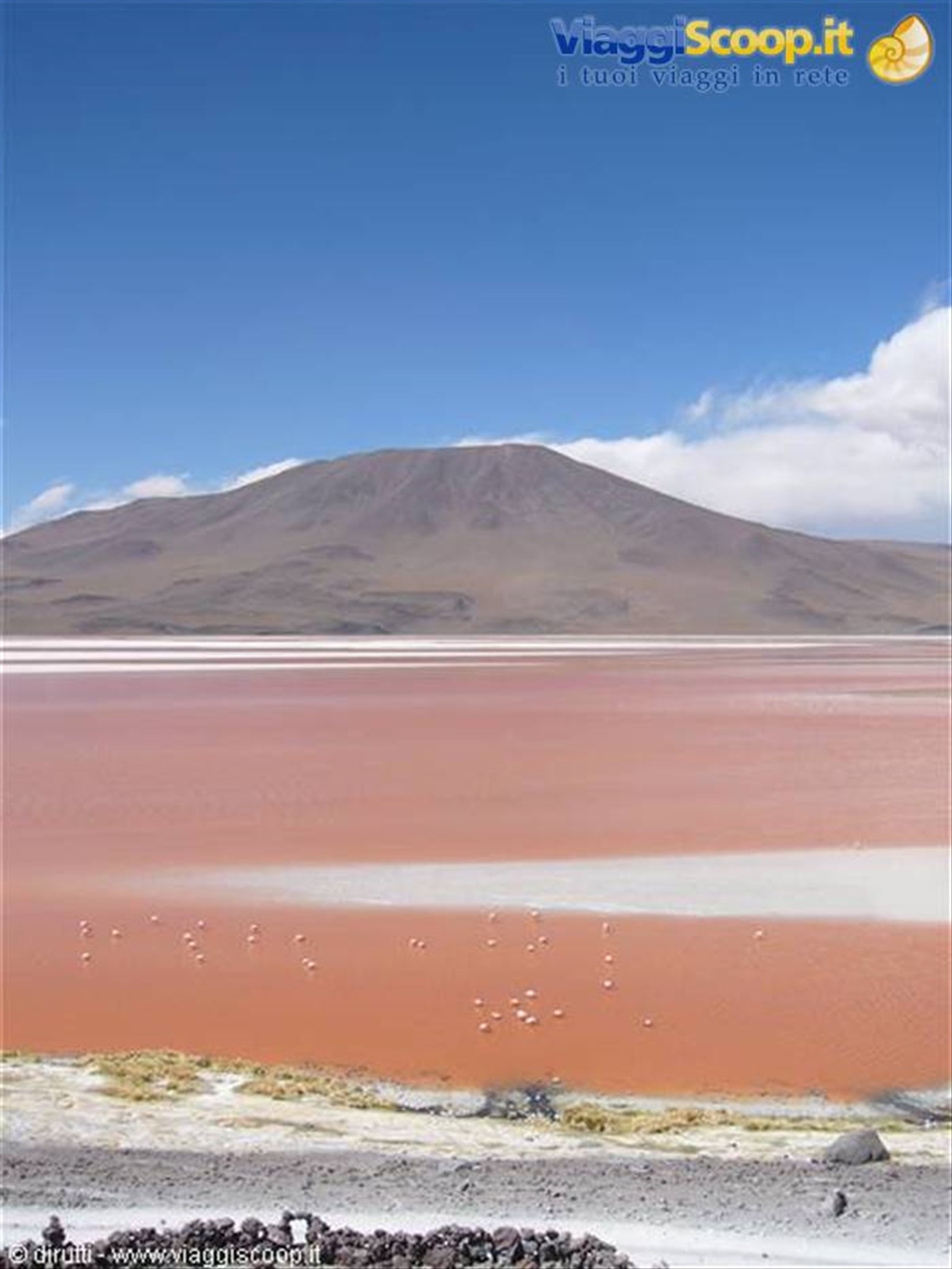 Laguna Colorada