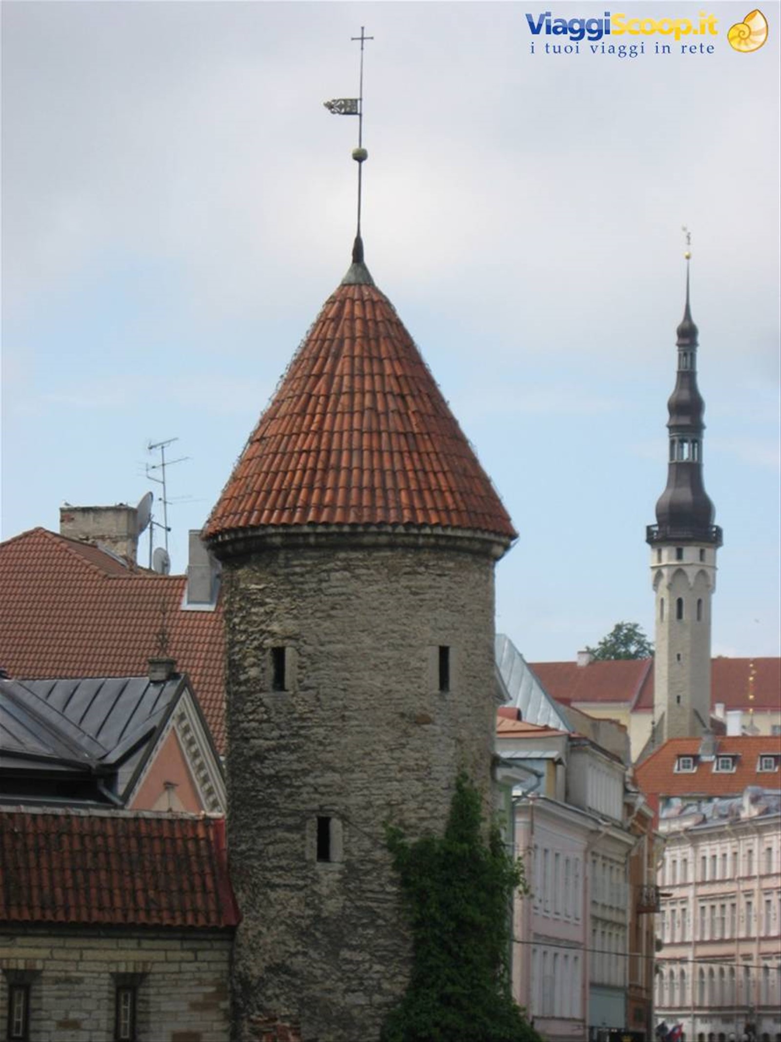 Foto di viaggio in ESTONIA