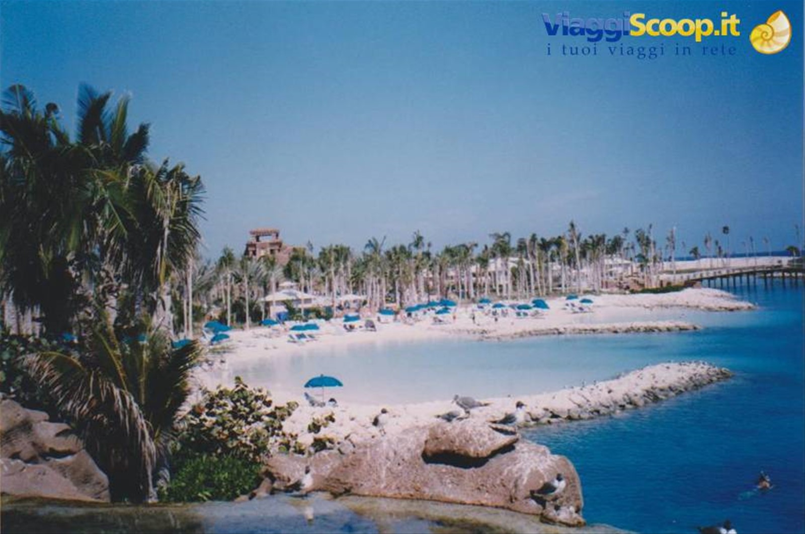 Foto di viaggio in BAHAMAS
