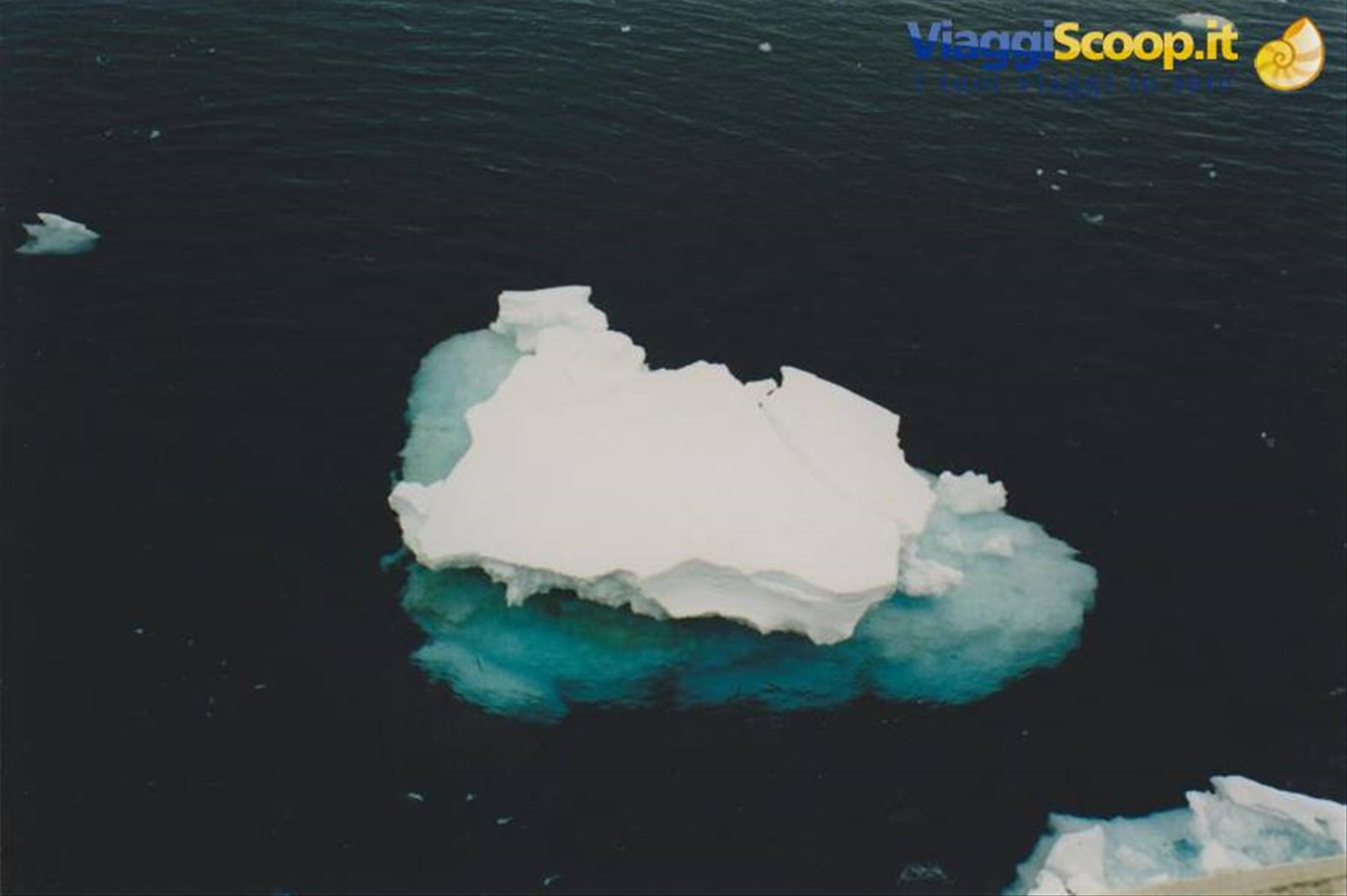 Foto di viaggio in ANTARTICA
