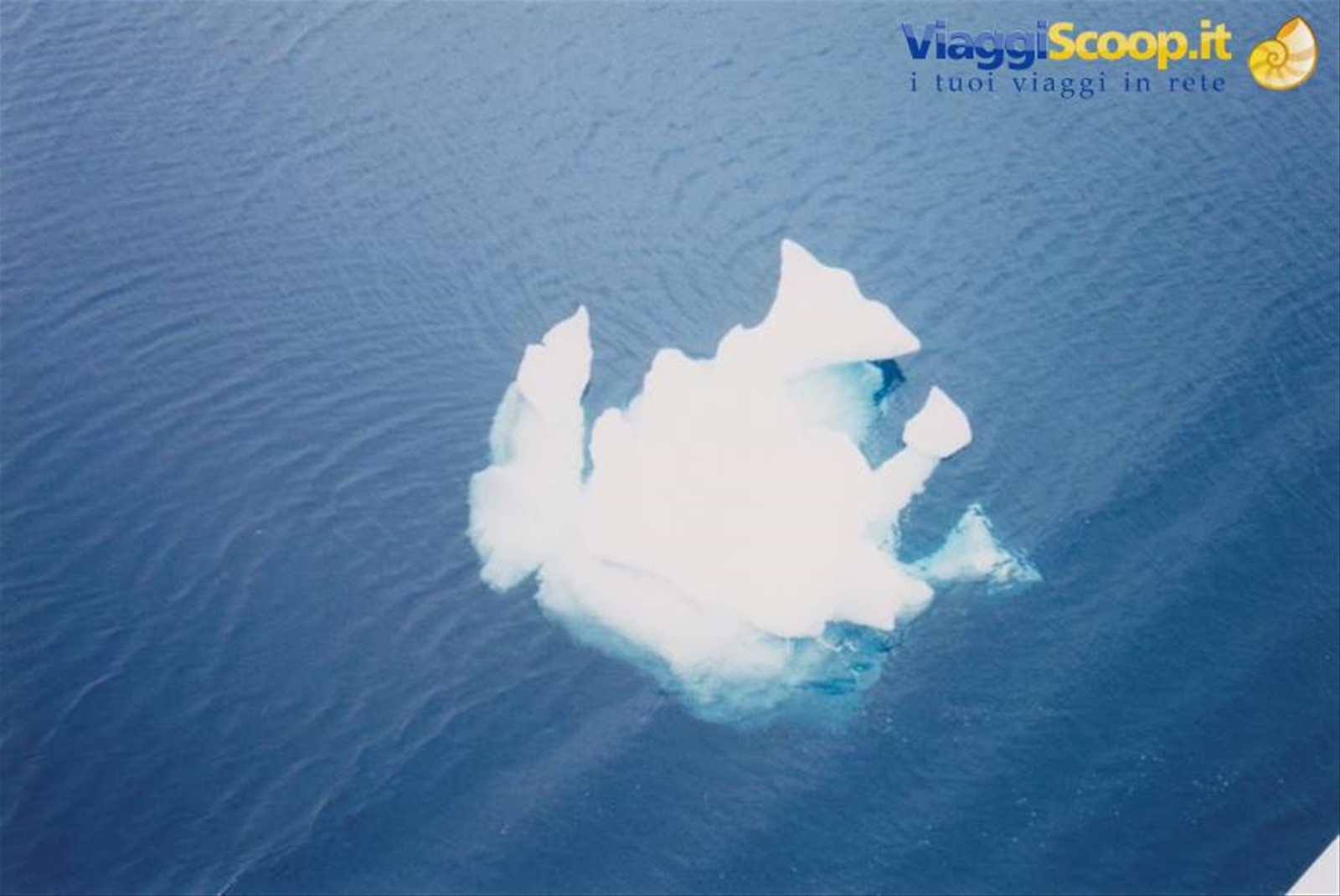 Foto di viaggio in ANTARTICA