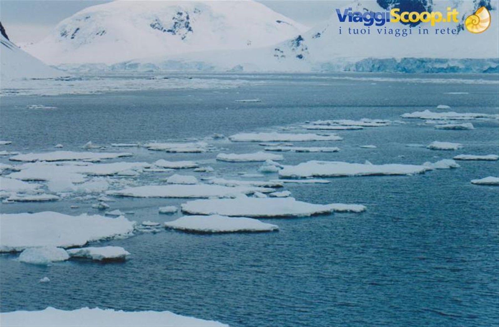 Foto di viaggio in ANTARTICA