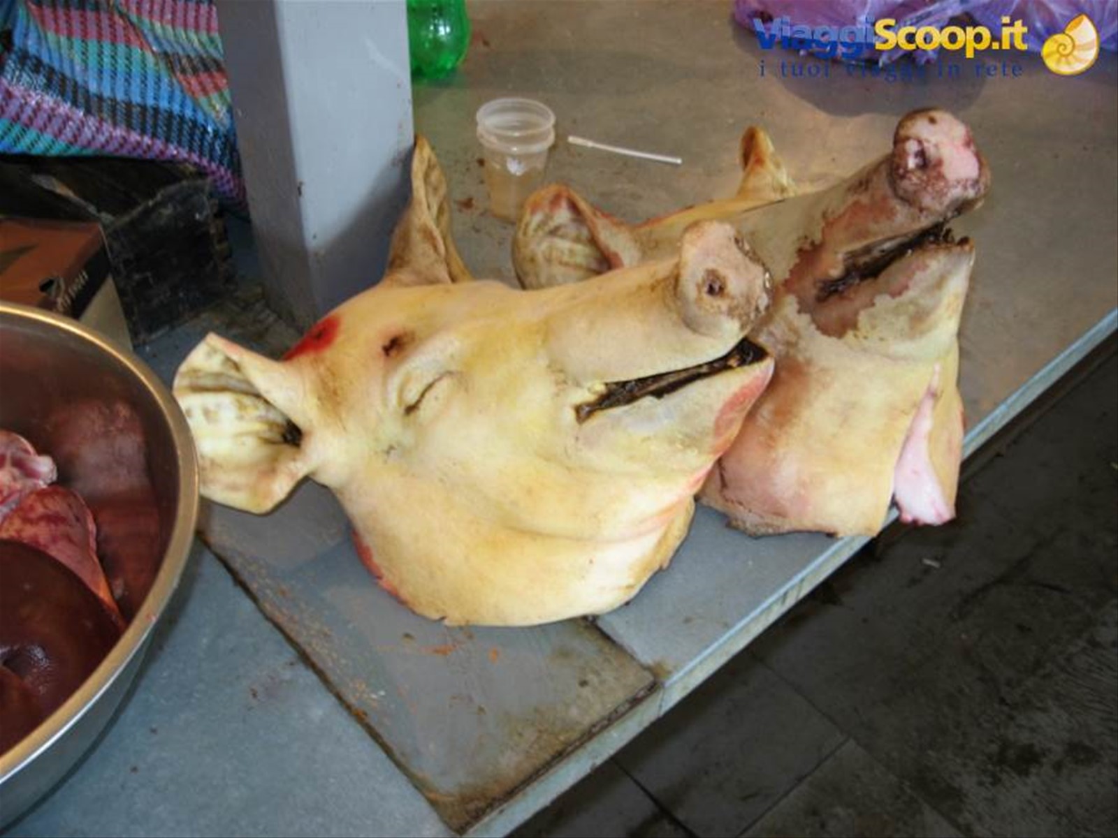 Foto di viaggio in UCRAINA