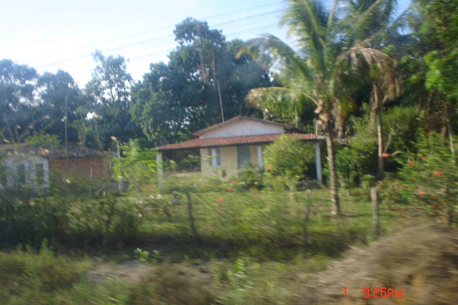 Dalle parti di Maragogipe ( dintorni di Bahia)