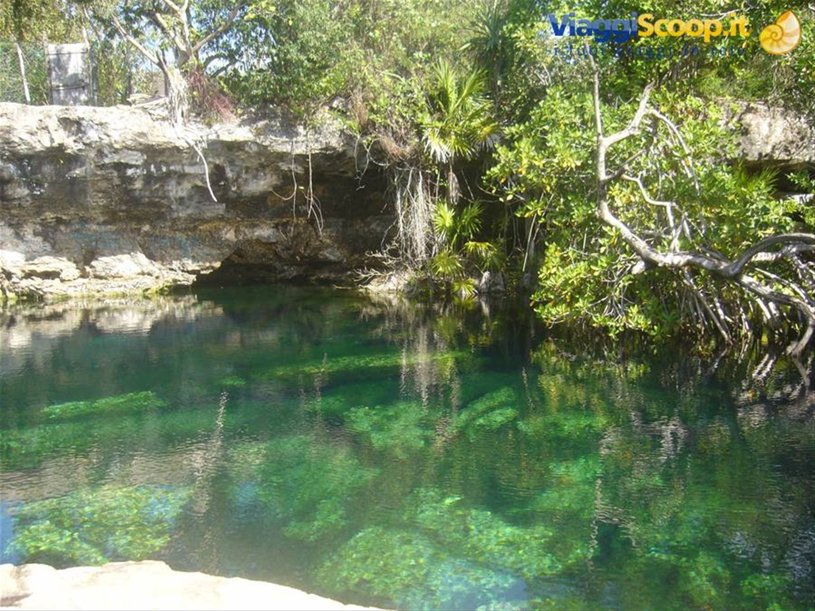 Cenote Cristalino