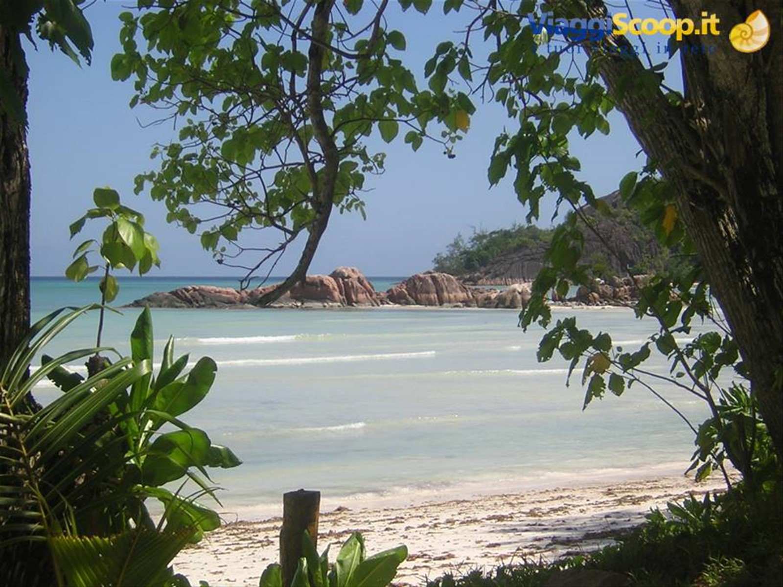La nostra spiaggia 1