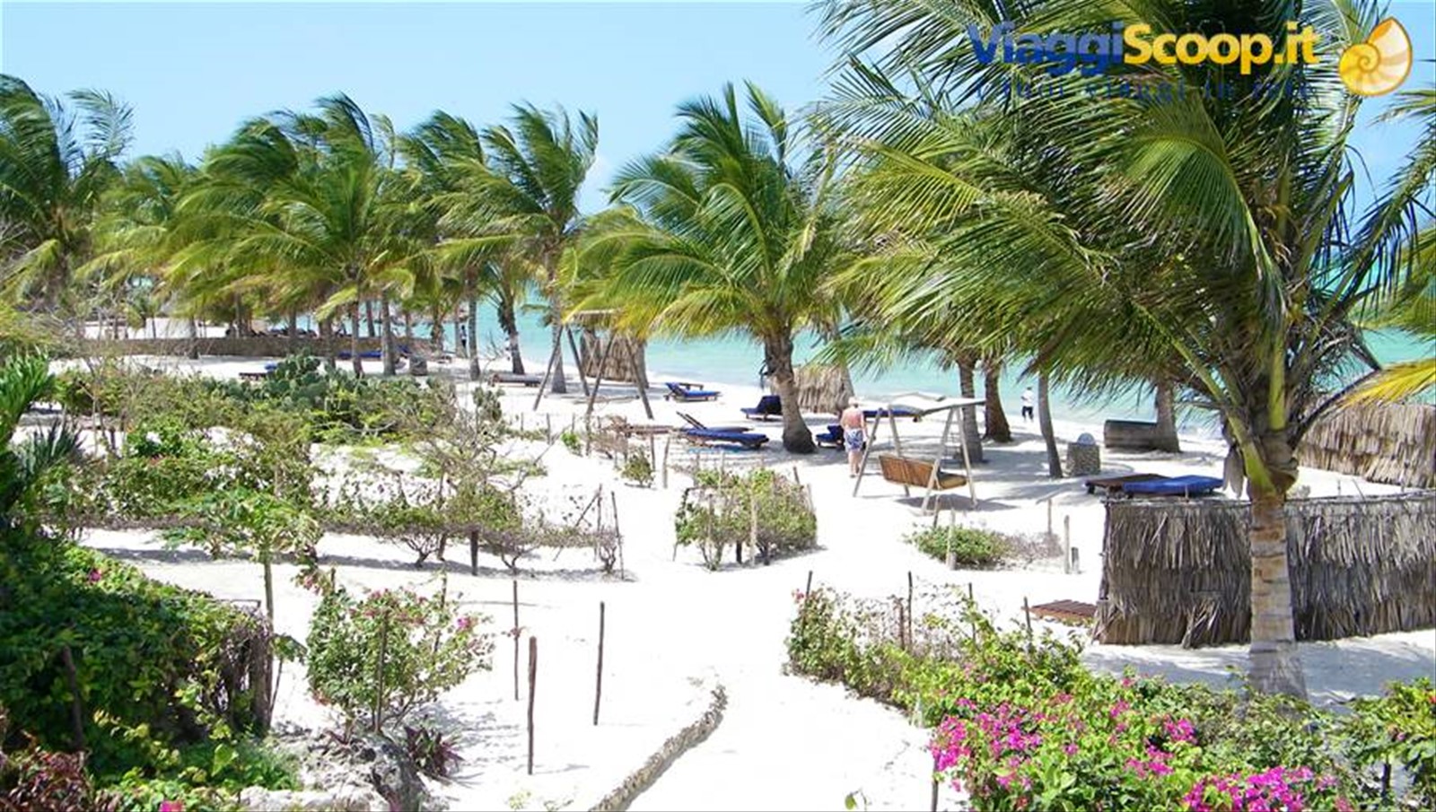 SPIAGGIA DALLA CAMERA