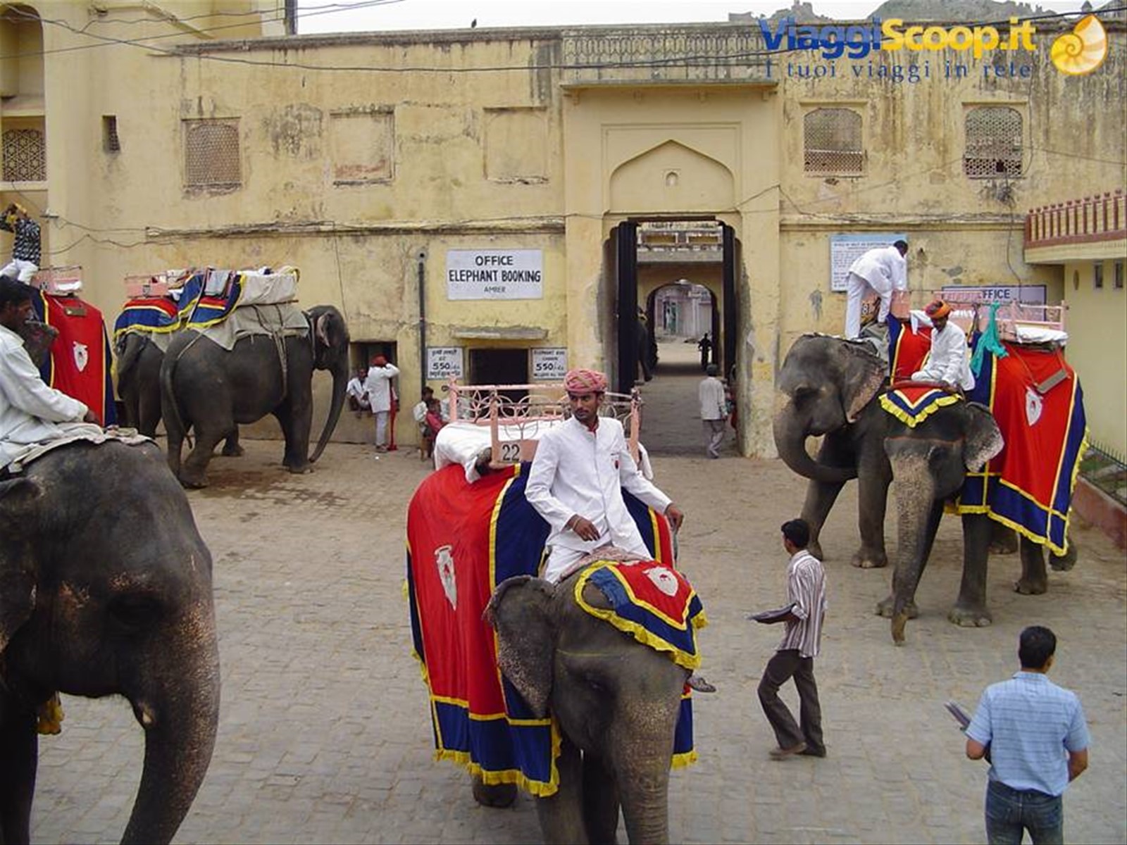 Foto di viaggio in INDIA