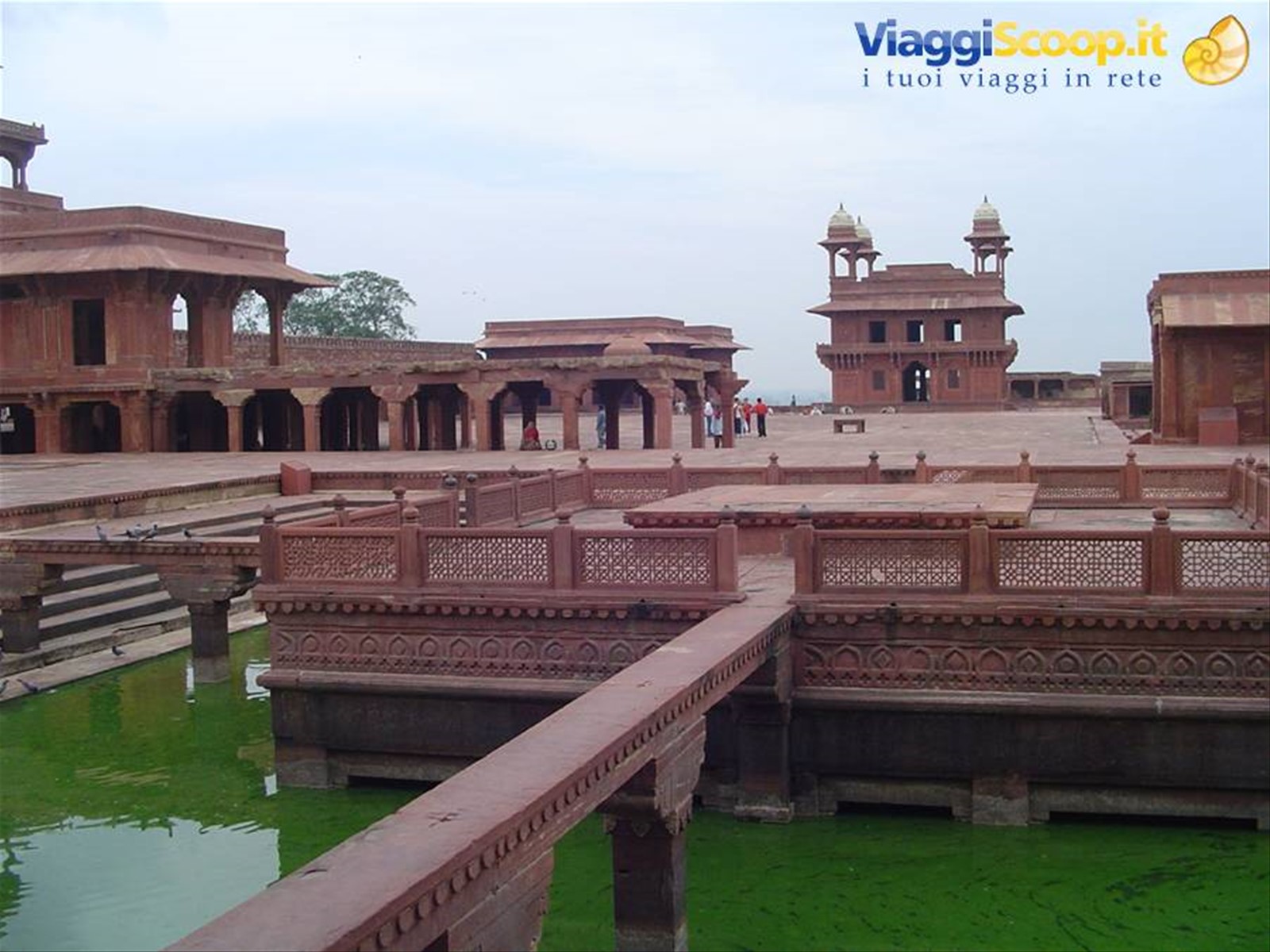 Foto di viaggio in INDIA