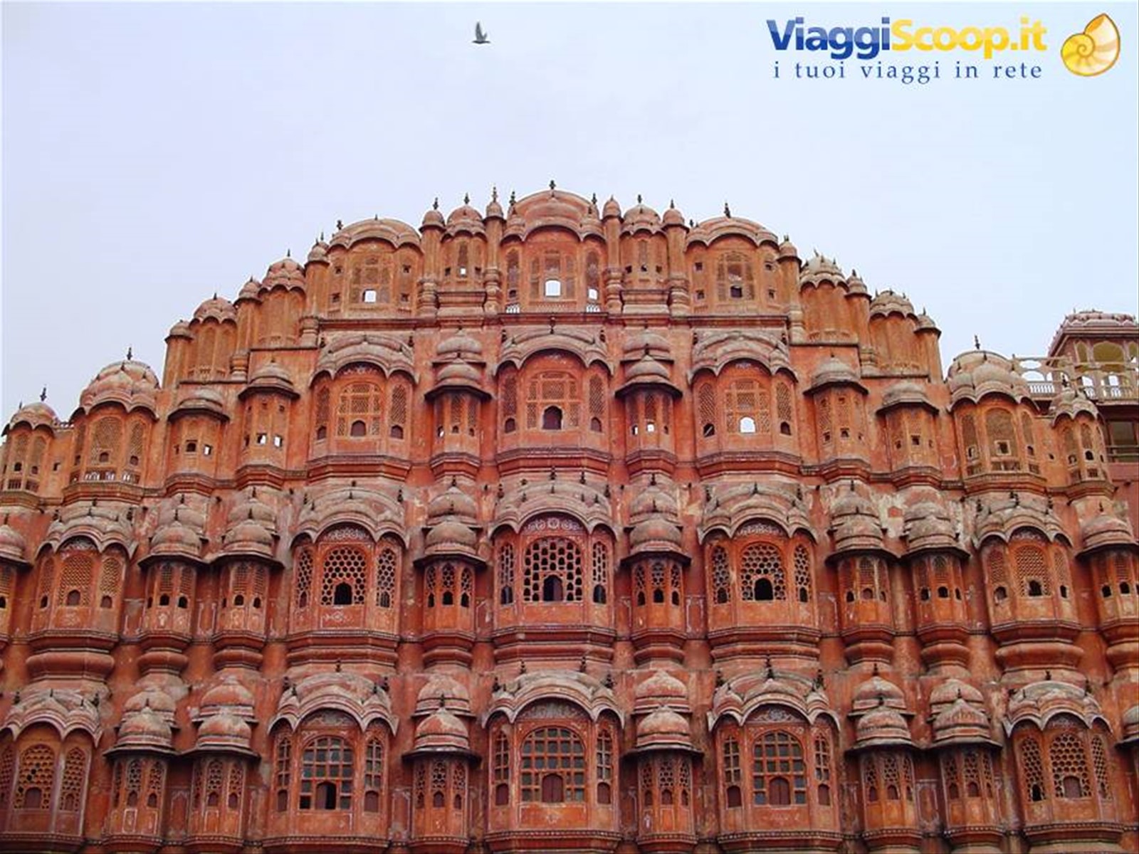 Foto di viaggio in INDIA