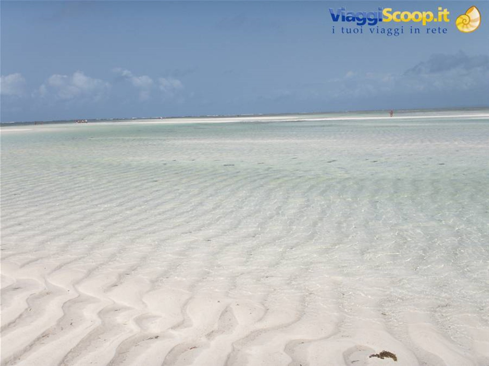 bassa marea....eden village watamu beach