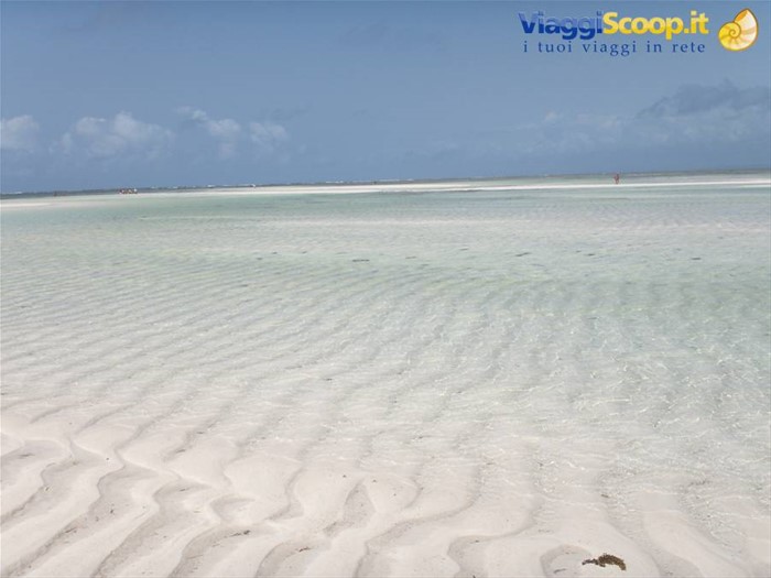 bassa marea....eden village watamu beach