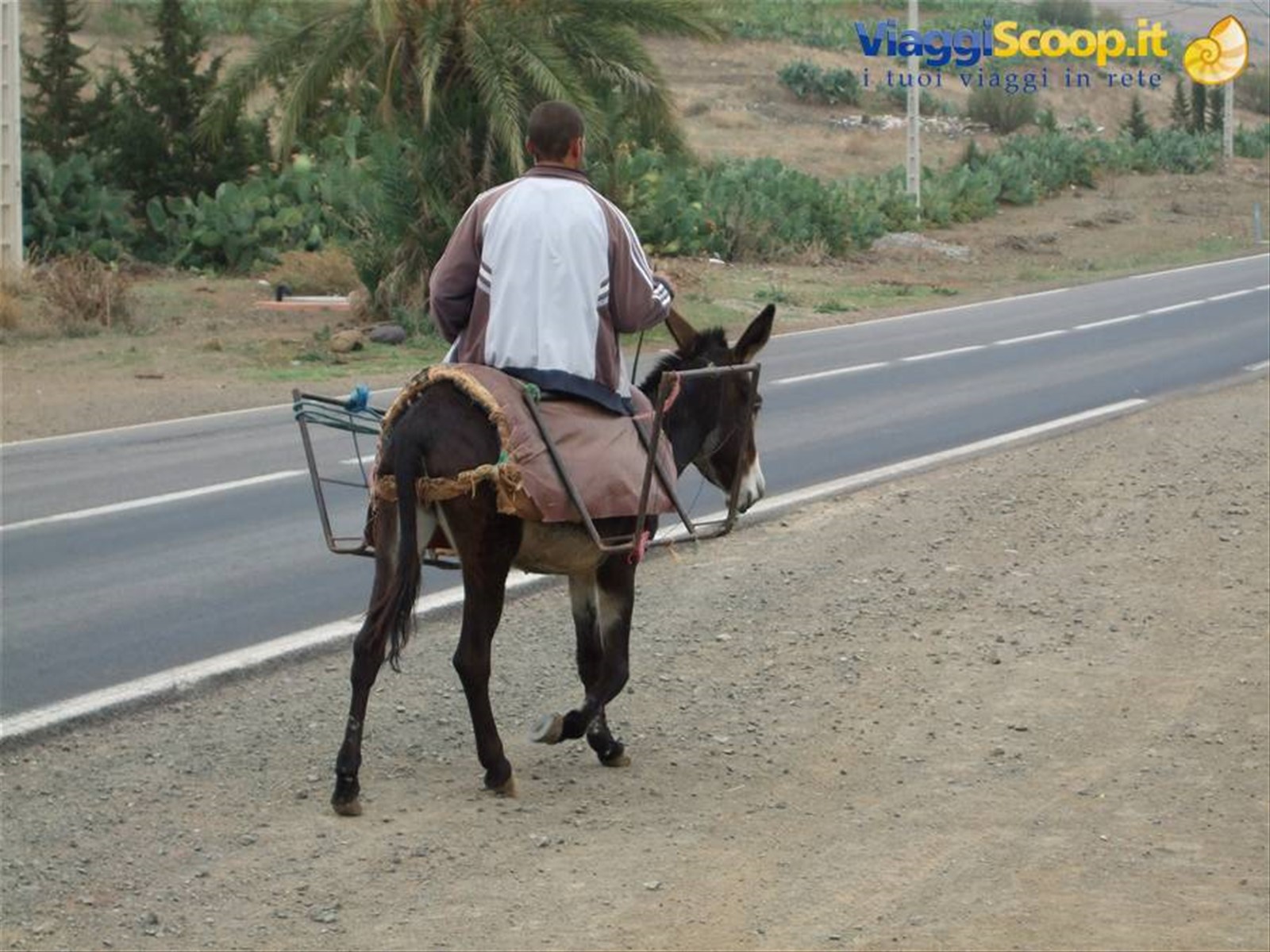 Il SUV marocchino