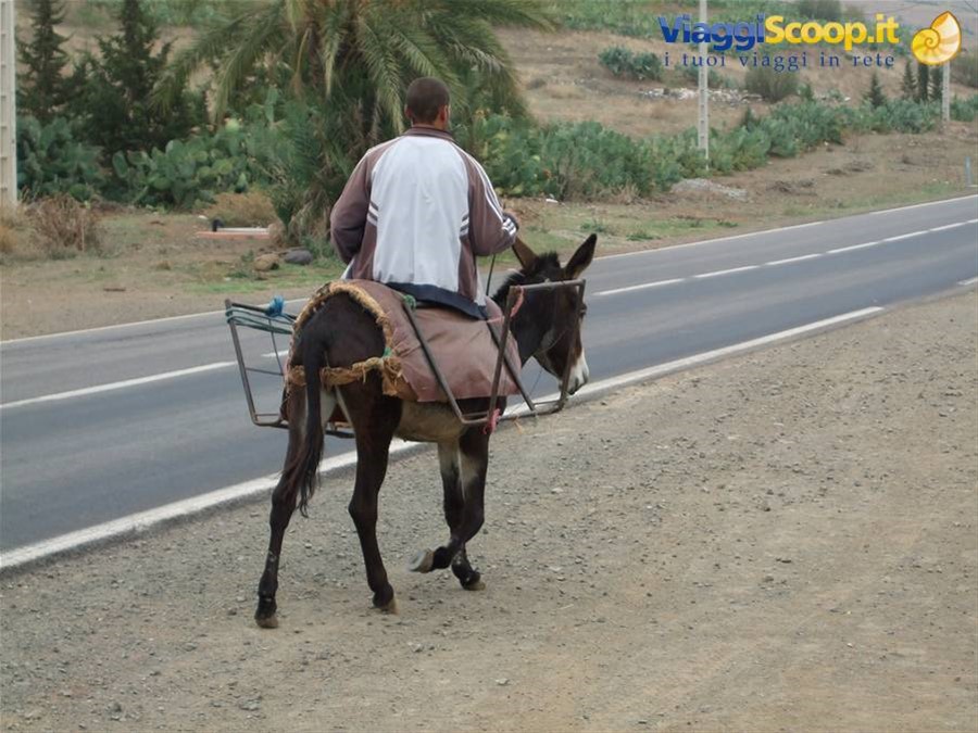 Il SUV marocchino