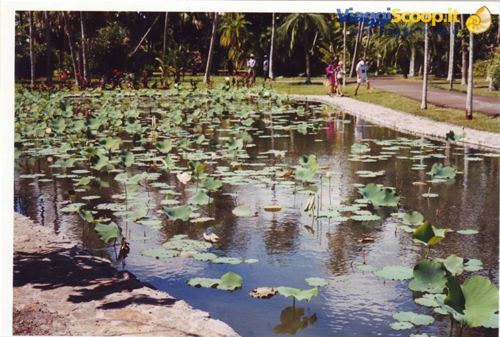 giardino di pamplemousses