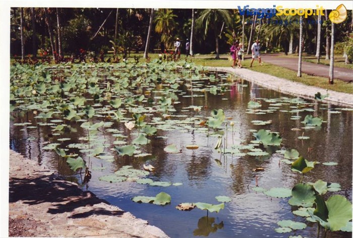 giardino di pamplemousses