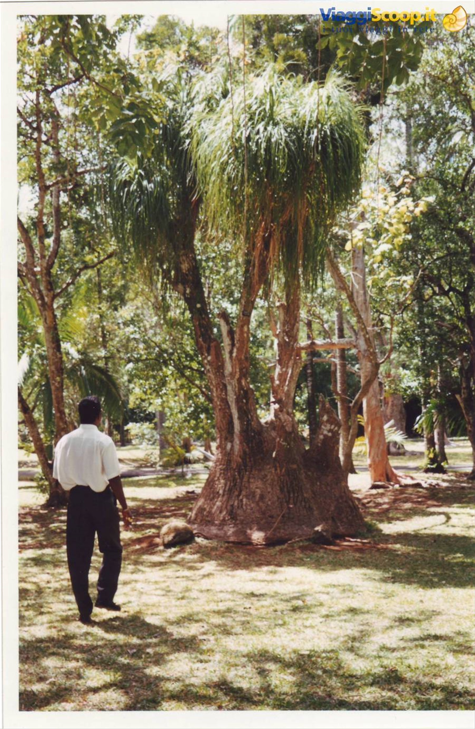 Foto di viaggio in MAURITIUS