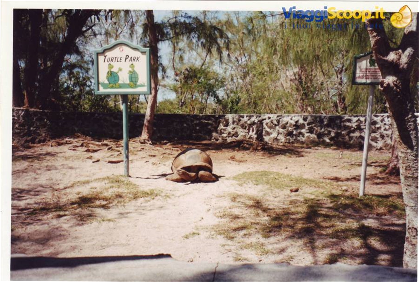 Foto di viaggio in MAURITIUS