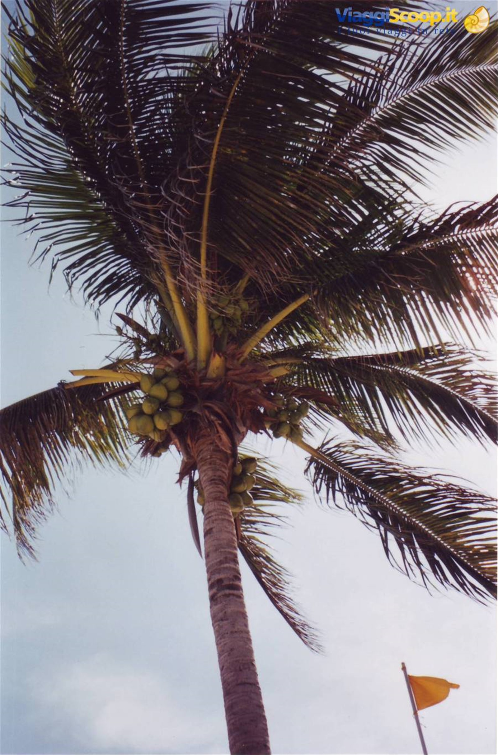 Foto di viaggio in MESSICO