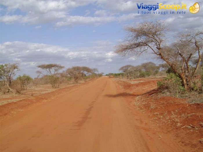 Tsavo est