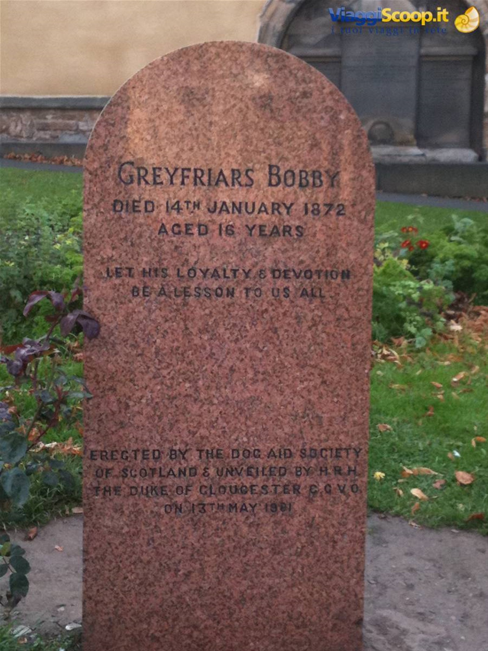 Bobby Greyfriars