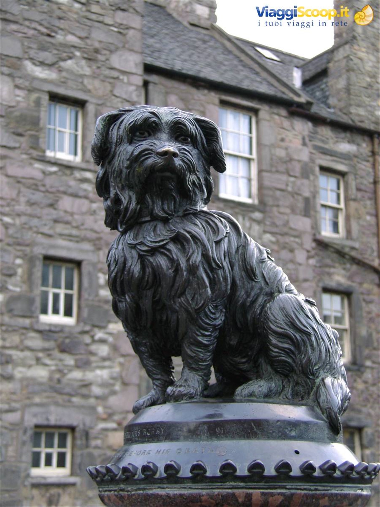 Bobby Greyfriars: il cagnolino che per ben 14 anni ha vegliato la tomba del padrone