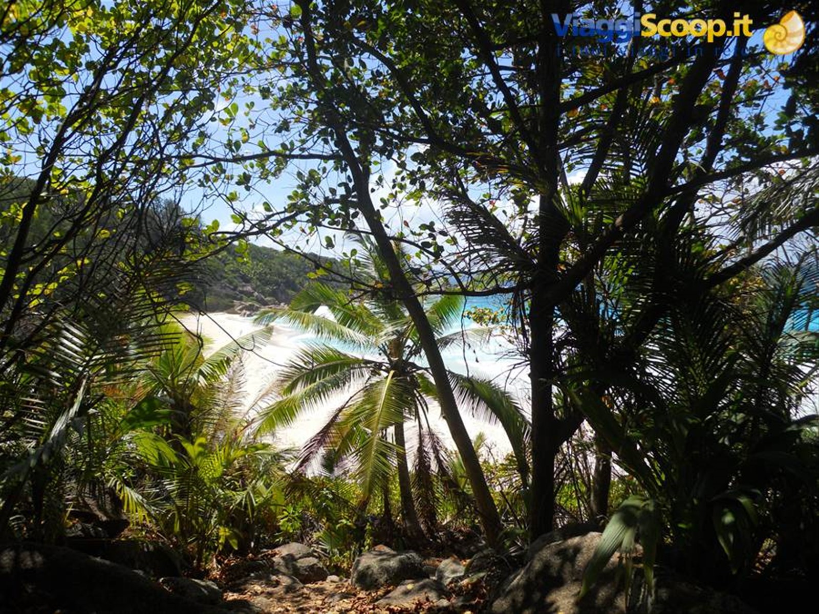Foto di viaggio in SEYCHELLES