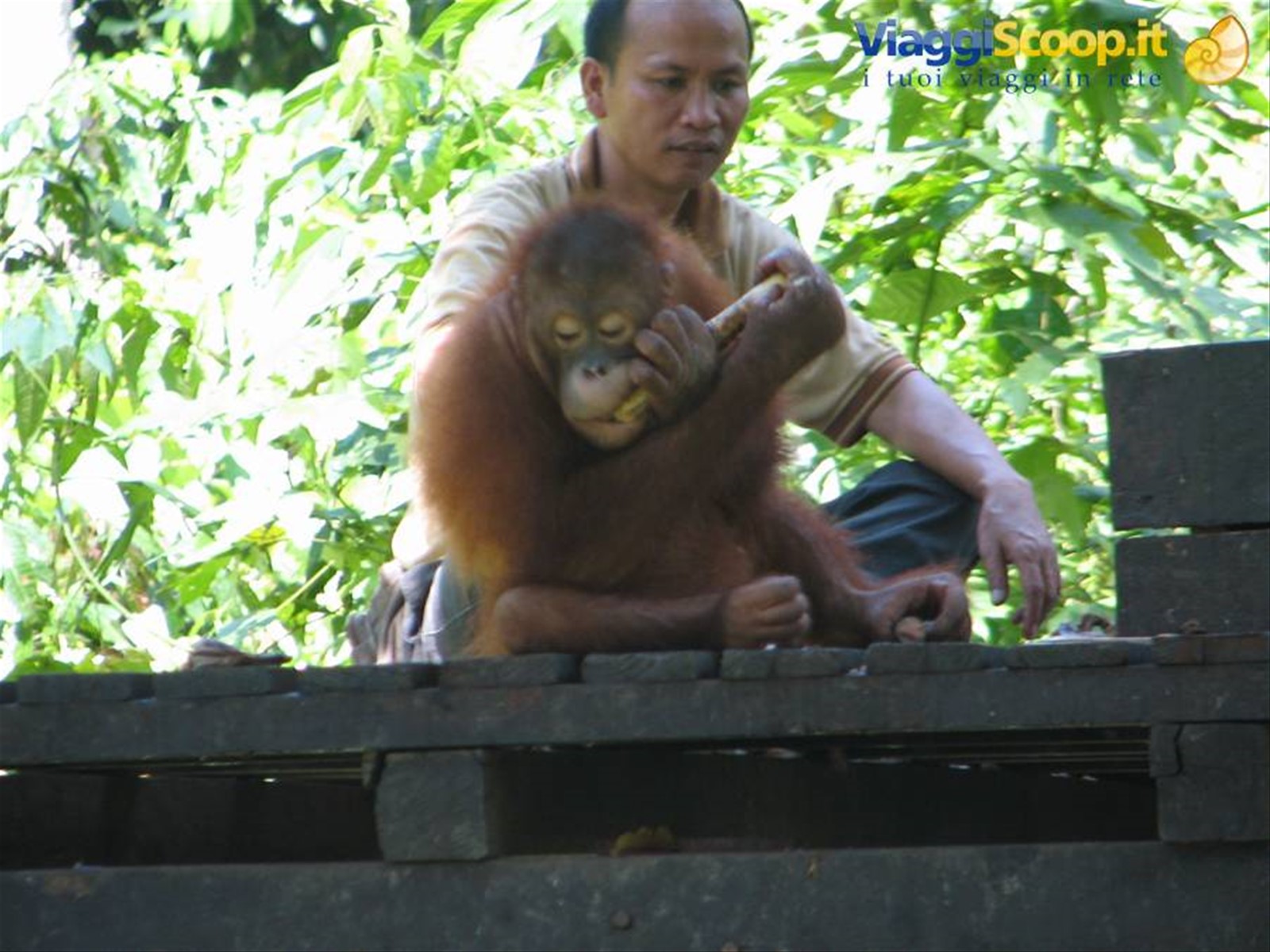 Foto di viaggio in MALESIA