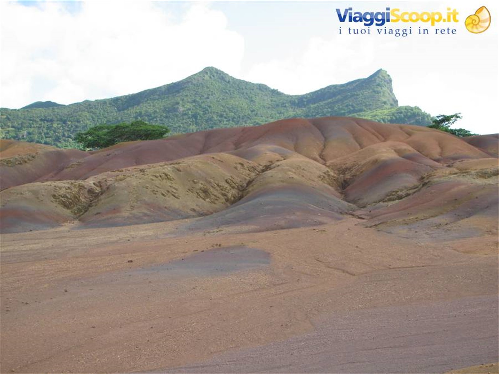 Foto di viaggio in MAURITIUS