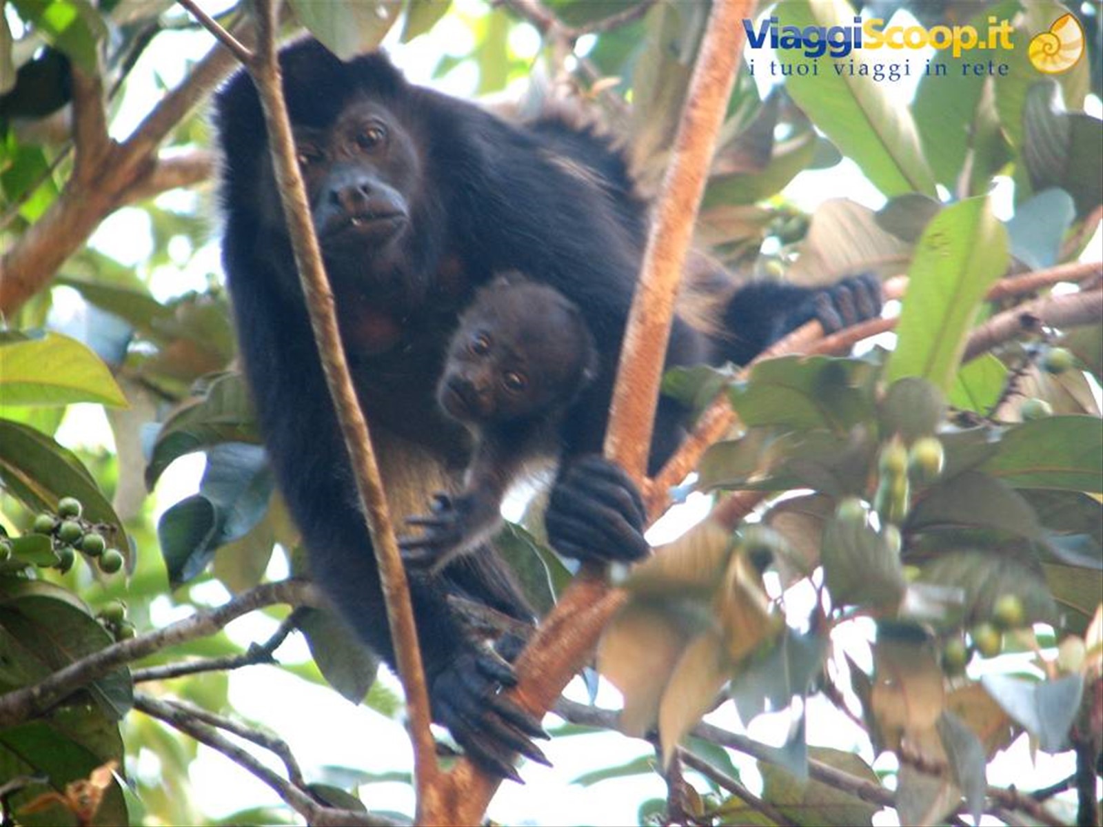 Foto di viaggio in COSTA RICA
