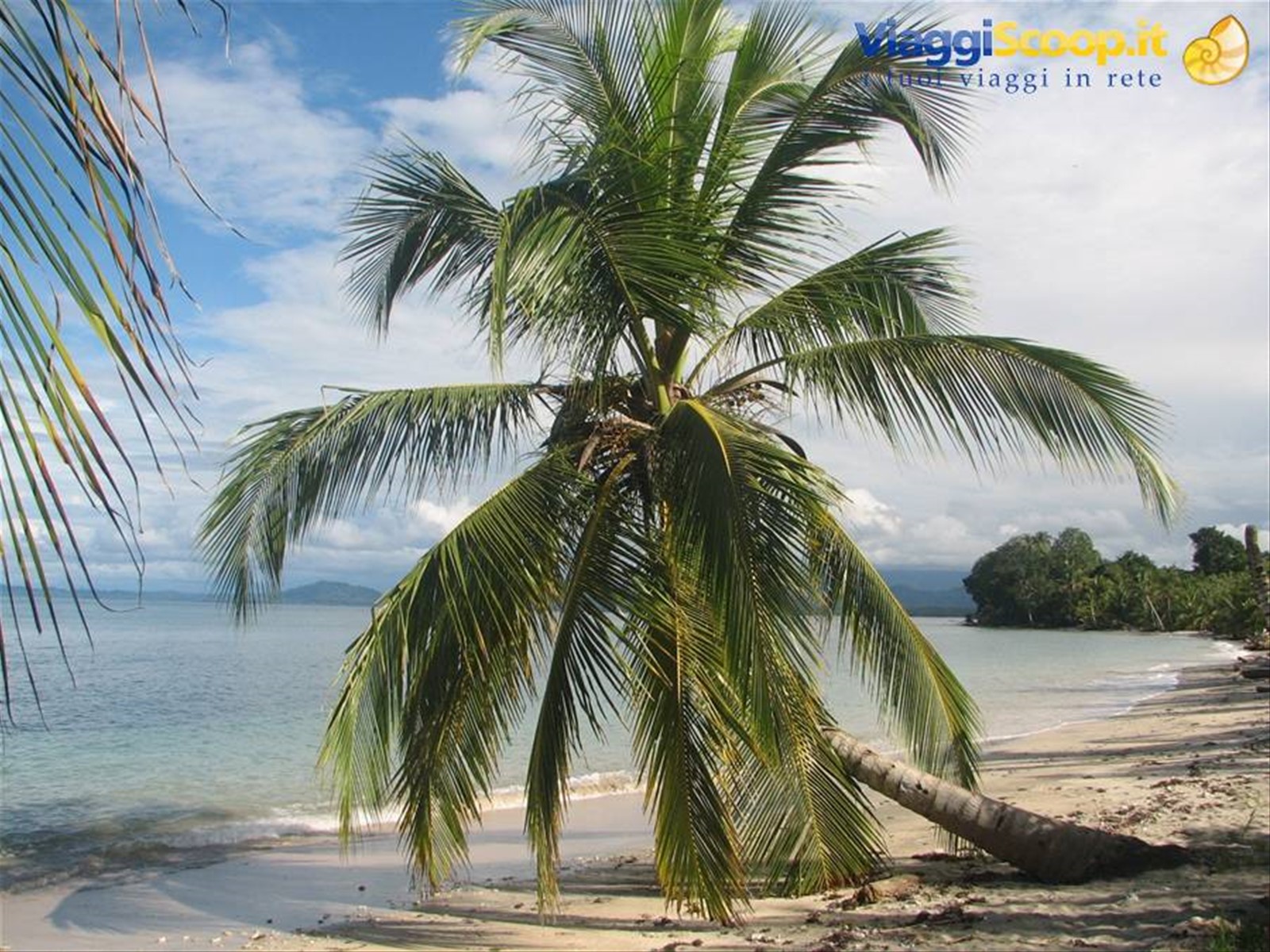 Foto di viaggio in COSTA RICA