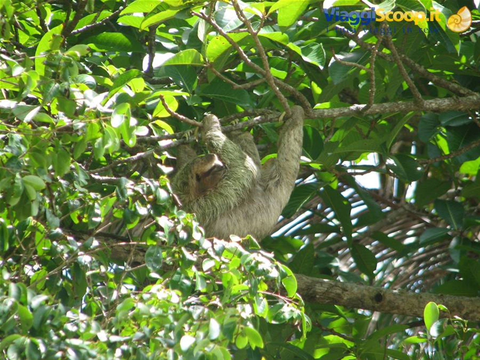 Foto di viaggio in COSTA RICA