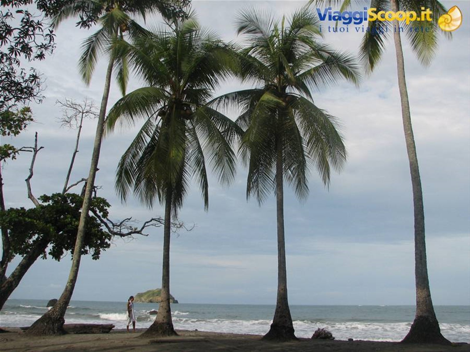 Foto di viaggio in COSTA RICA