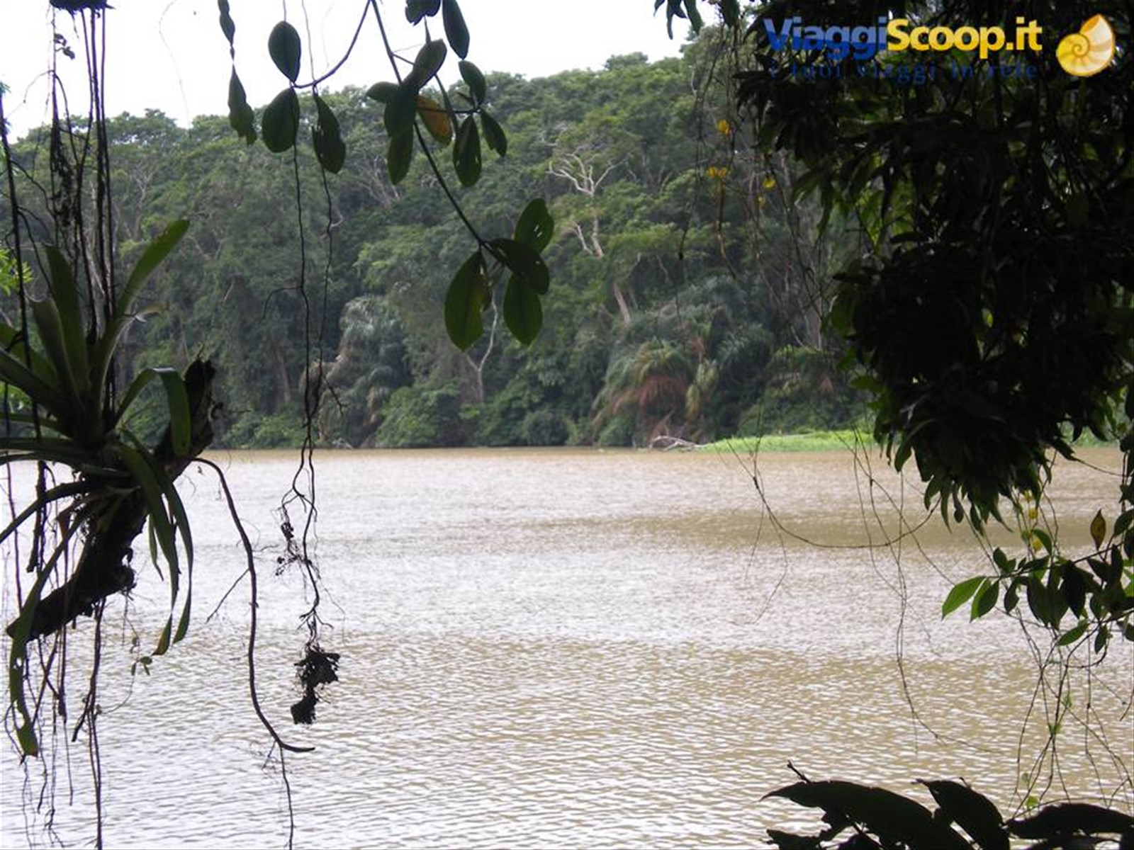 Foto di viaggio in COSTA RICA