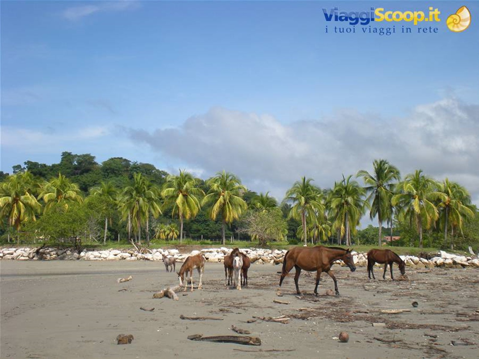 Foto di viaggio in COSTA RICA