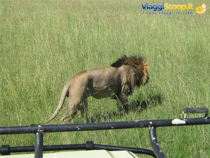 kenya