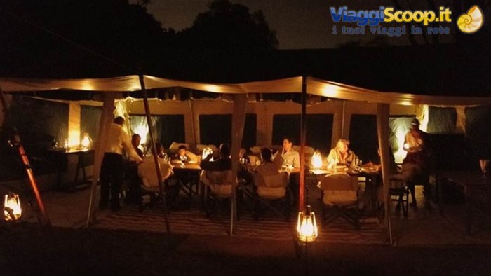 safari