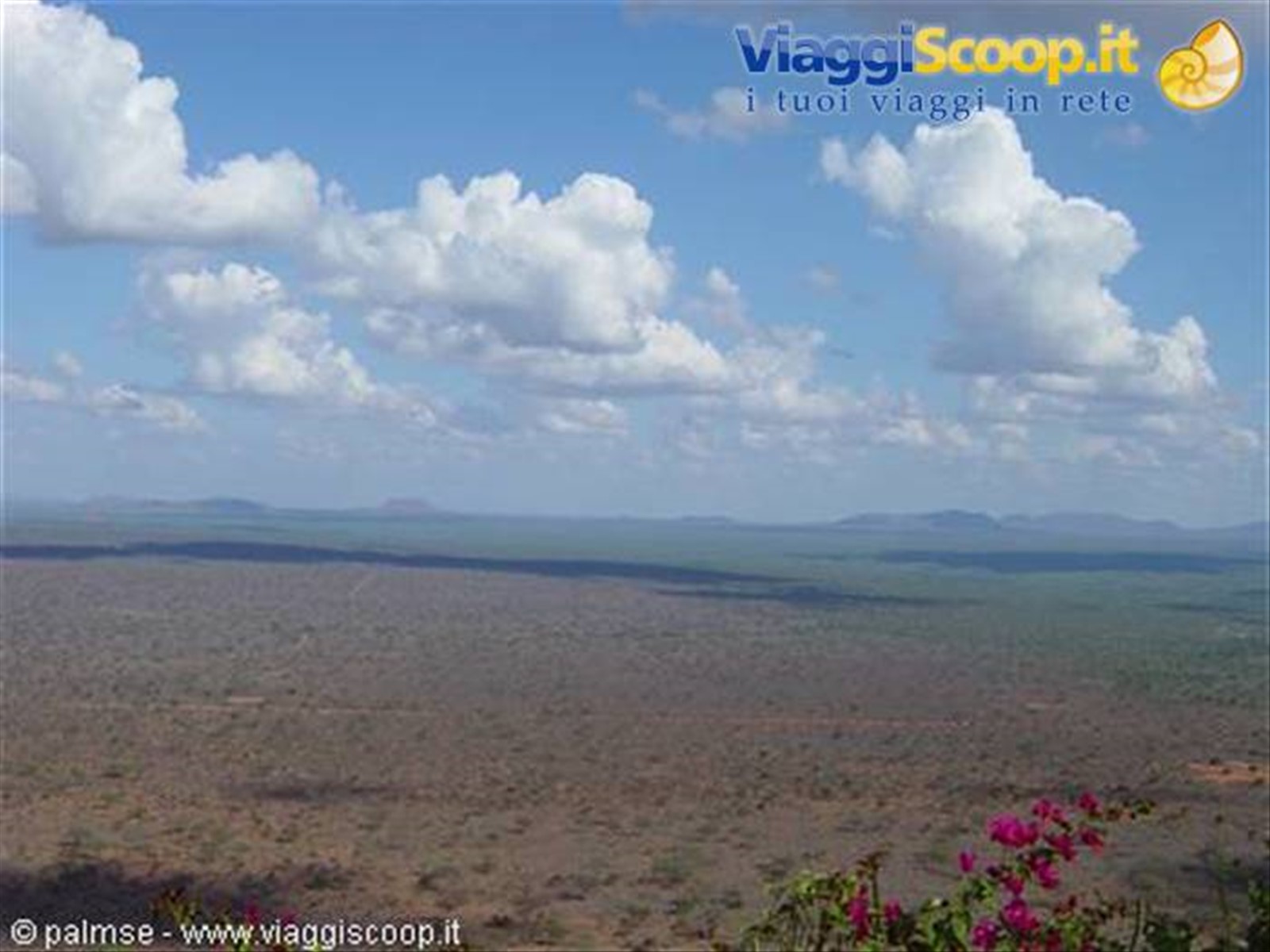 vista