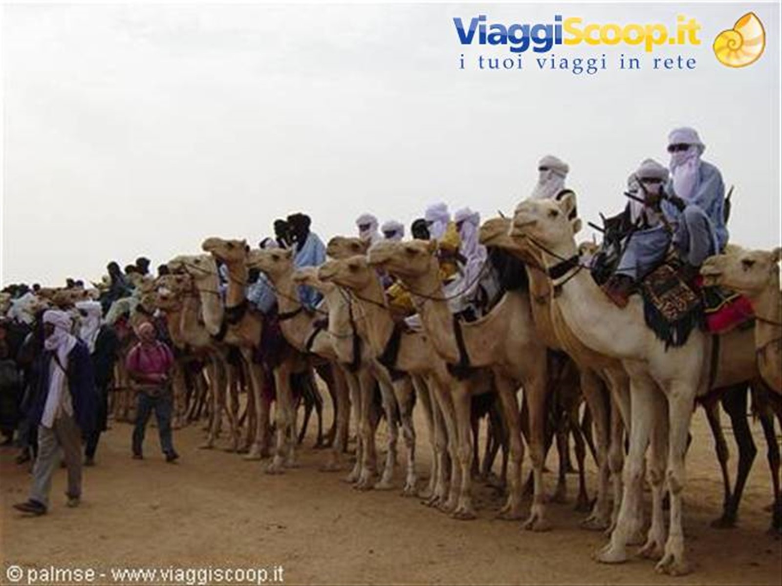 tuareg