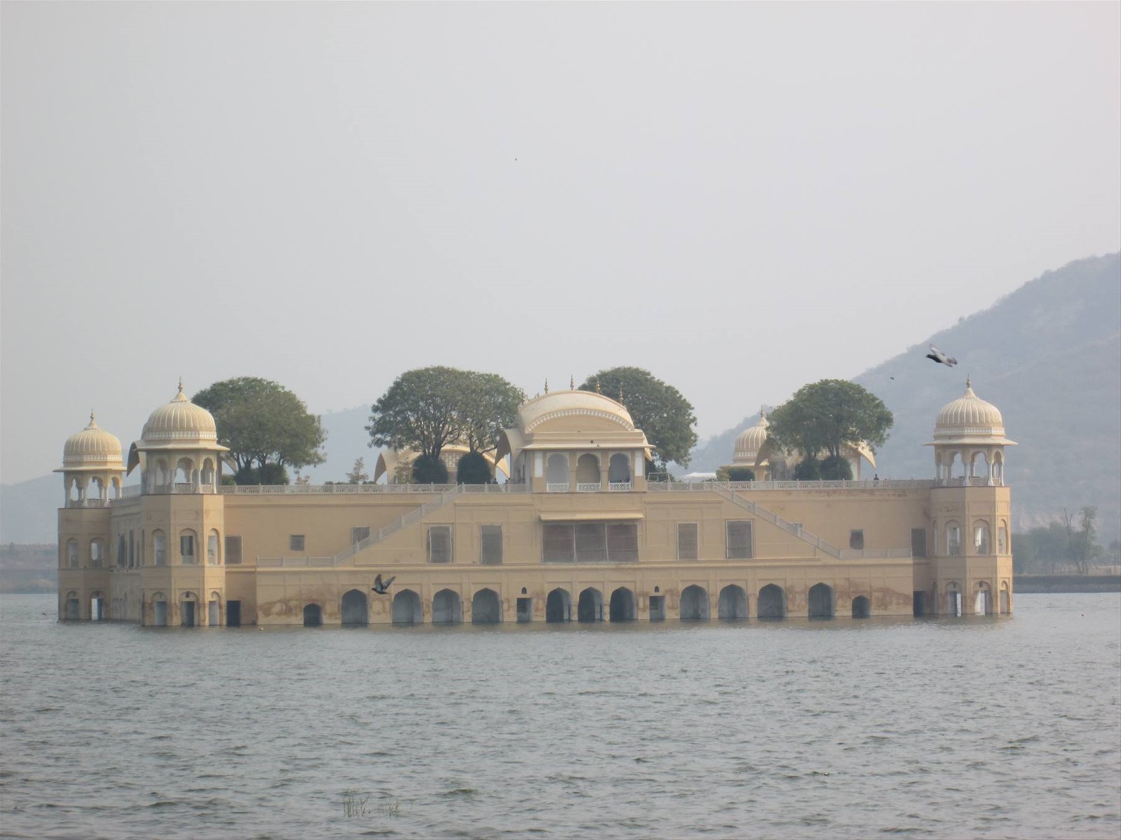 Foto di viaggio in INDIA