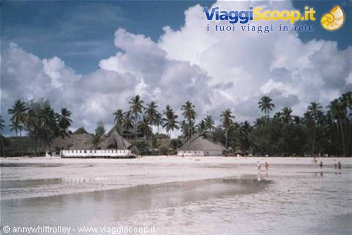coral reef resort