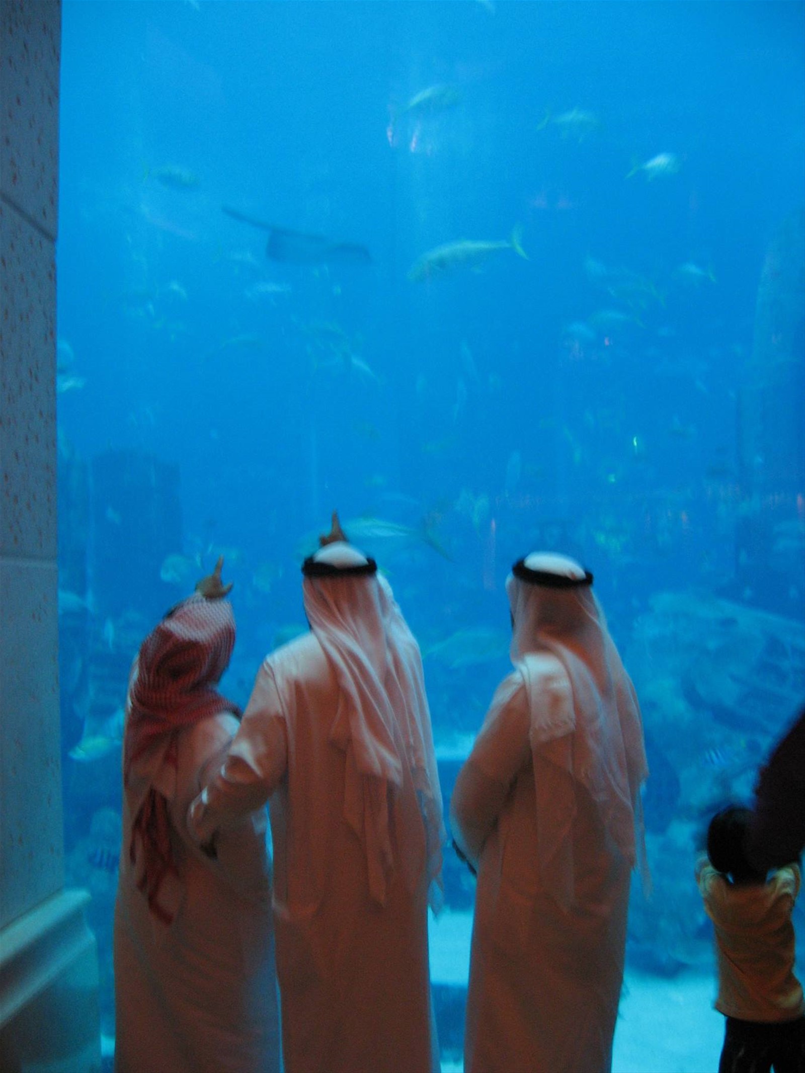 acquario all'interno dell hotel Atlantis