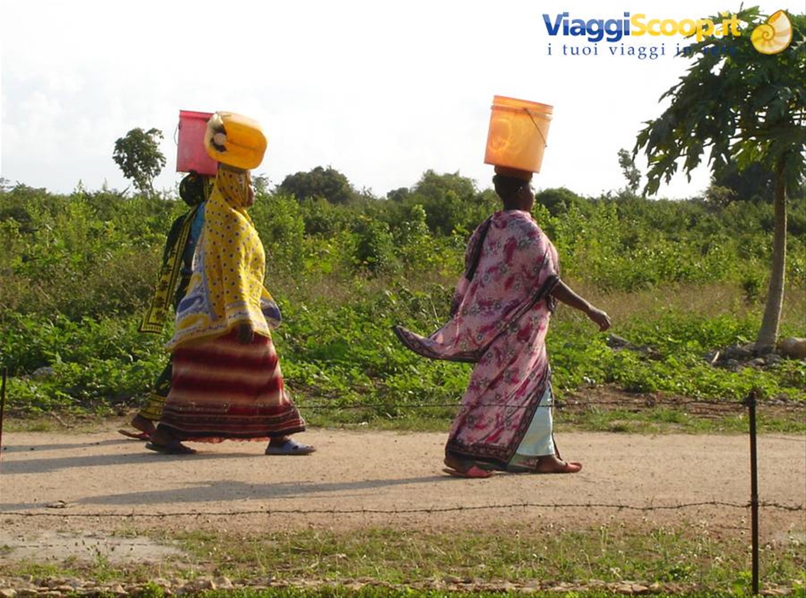 Foto di viaggio in TANZANIA