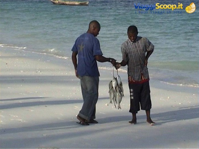 pescatori