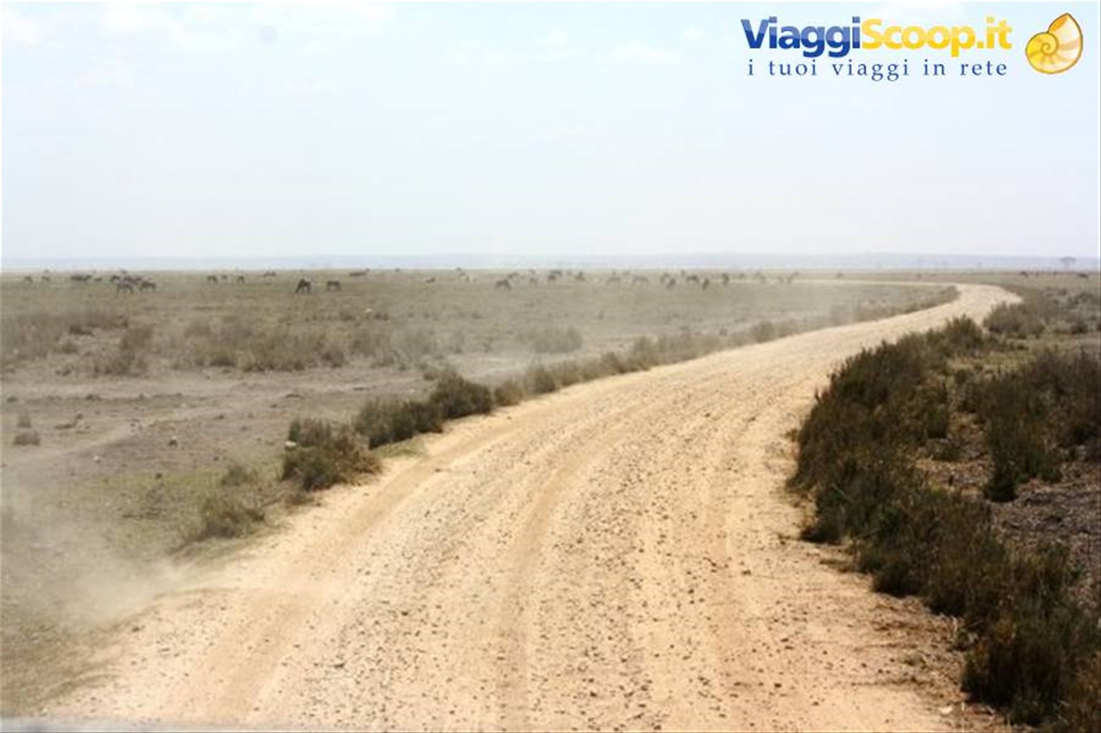 Foto di viaggio in KENYA
