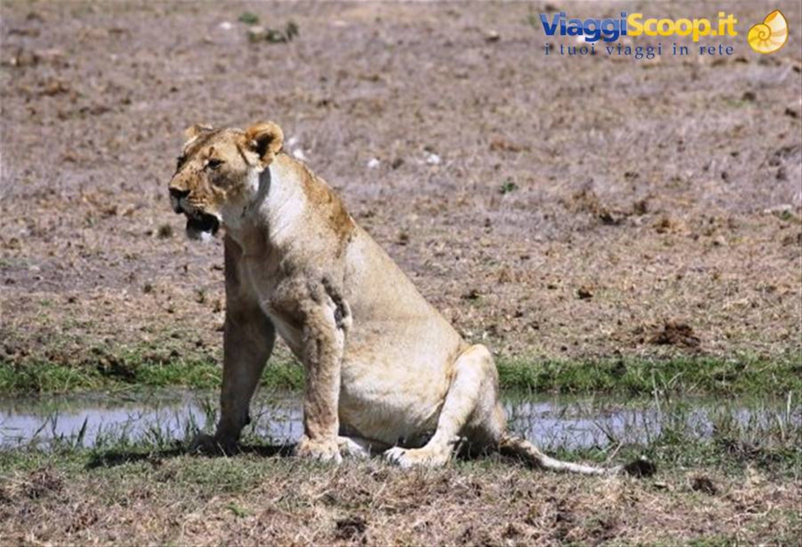 Foto di viaggio in KENYA