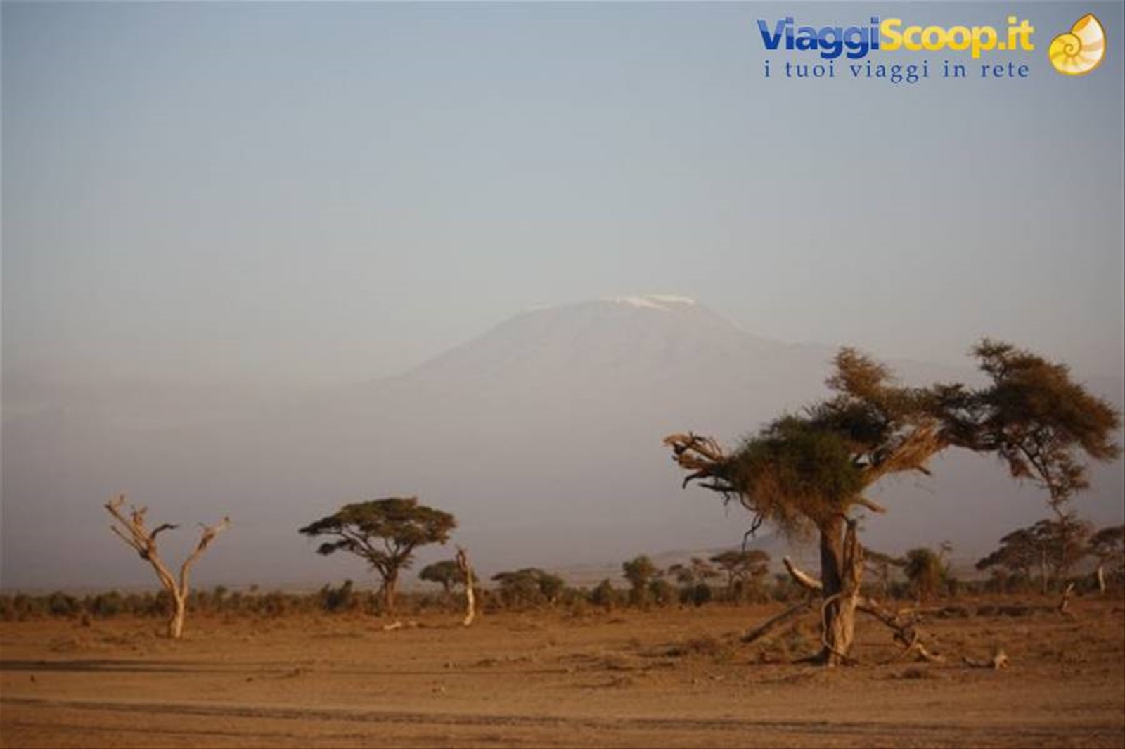 Foto di viaggio in KENYA